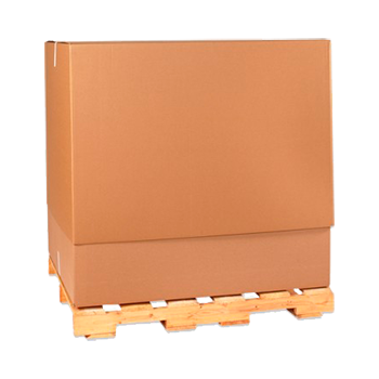 ���������������� ����������