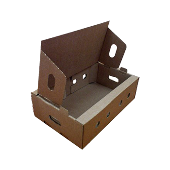 ���������� ��� �����