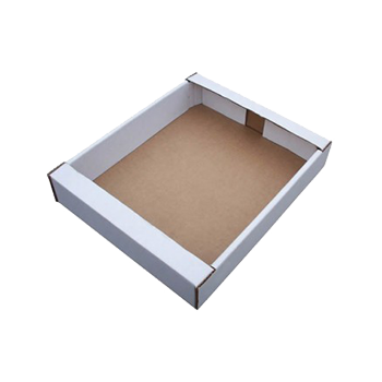 ����-����������